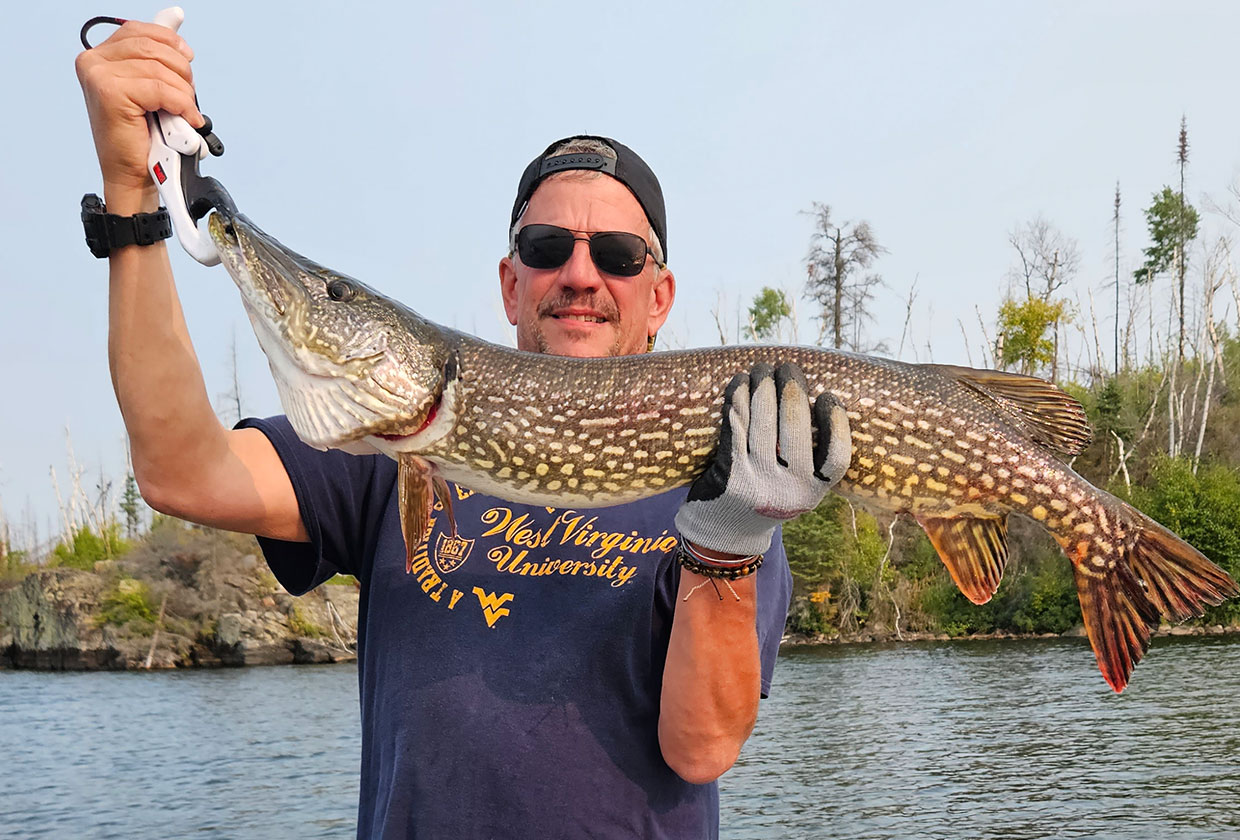 Giant Pike