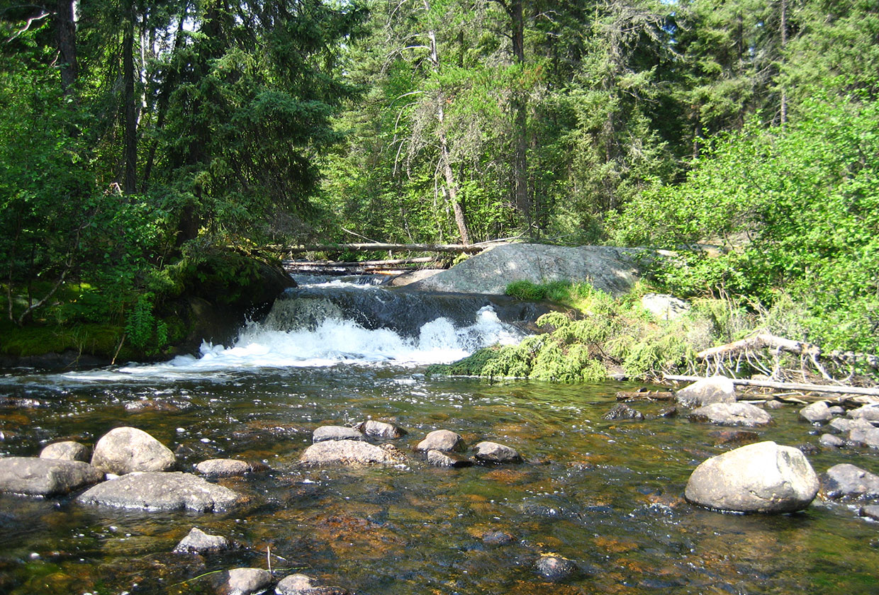 Babbling Brook